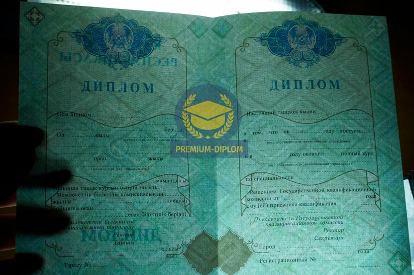 Специалист 2009-2026 (Казахстан) - фото